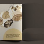 Leopolis SPA Brochure Design