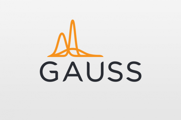 Брендинг Gauss