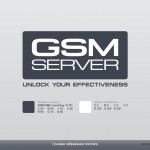 GsmServer Brand Book